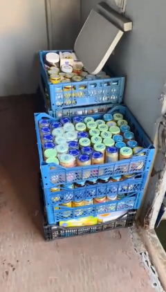 image (1732) (1) (1)